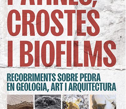 Pàtines, crostes i biofilms