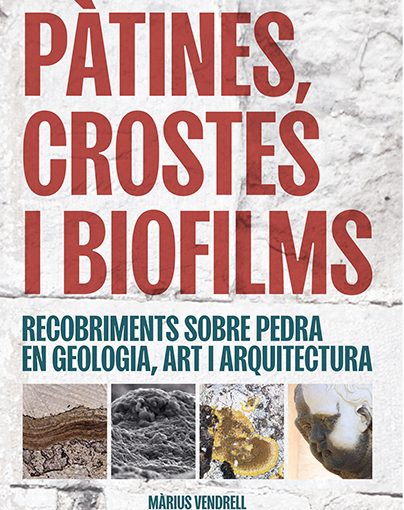 Pàtines, crostes i biofilms